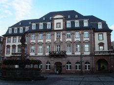 The City Council of Heidelberg