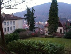 Houses near Heidelberg Castle