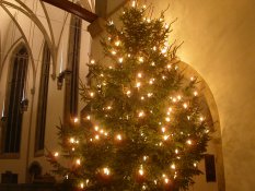 A christmas tree in Stiftskirche in Stuttgart