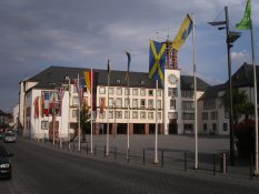 City Council in Worms
