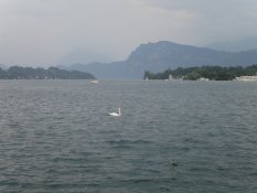 Vierwaldst�ttersee in Luzern