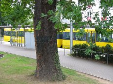 Tram in Bad Cannstatt