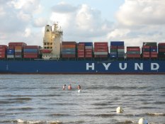 Bathing people close to a container ship near Altenbruch