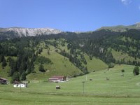 A meadow in the Alps