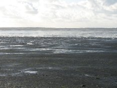 Wattenmeer